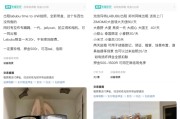 八字命盘闲鱼：LABUBU搜索量环比上涨1000%，供不应求下现租赁新形式
