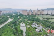八字命盘西宁市举办六五环境日主题宣传活动
